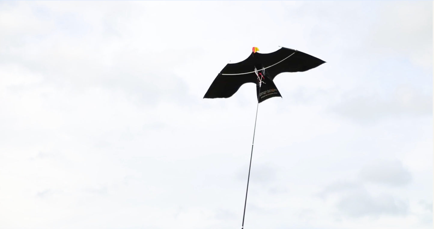 Peter Lynn Bird Scare Kite Sky Crow With Pole