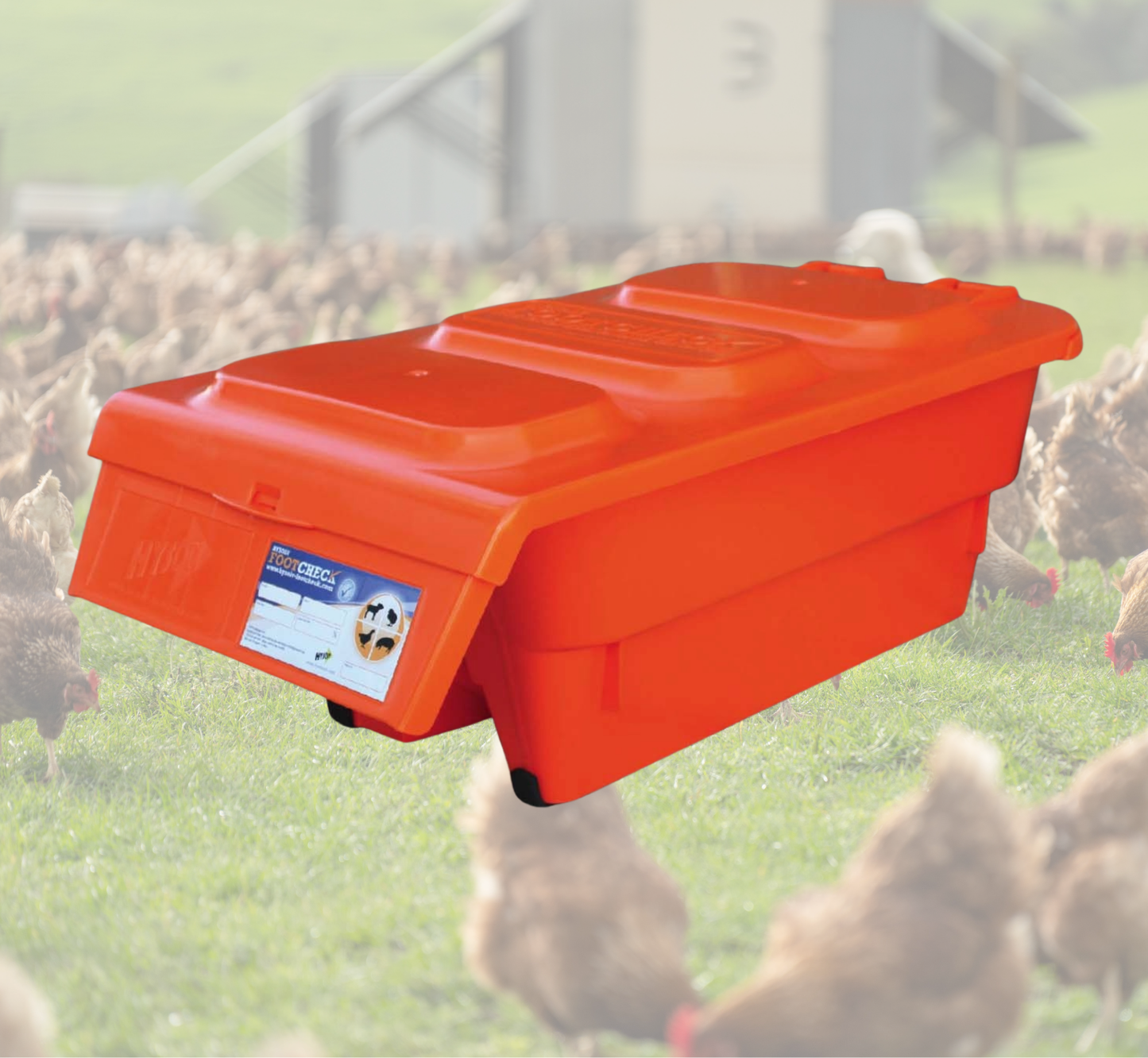 FootCHECK - covered footbath