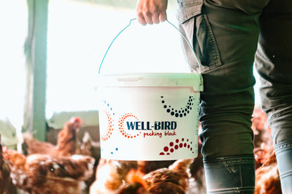 Well Bird Pecking Block 15kg